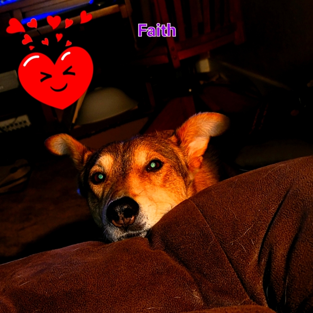 Meet your Posher, Faith